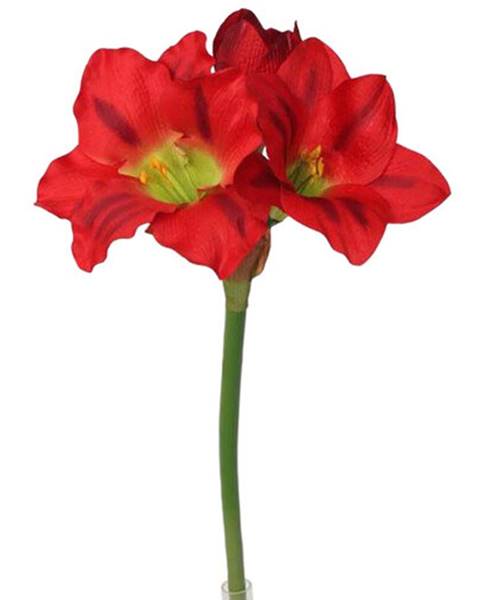 Váza Albani
